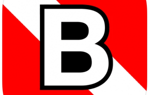 Baltic-deco-logo