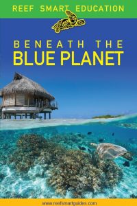 beneath-the-blue-planet