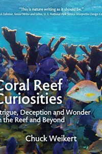 coral-reef-curiosities