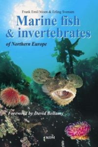 marine-fish-and-invertebrates
