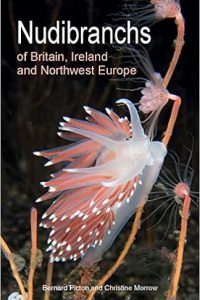 nudibranchs-of-britain-ireland-and-northwest-europe