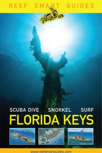 reefsmart-guides-florida-keys