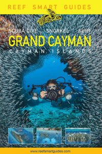 reefsmart-guides-grand-cayman-scuba-diving-books