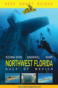 reefsmart-guides-northwest-florida-scuba-diving-books