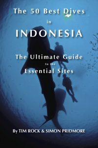 the-50-best-dives-in-indonesia-scuba-diving-books